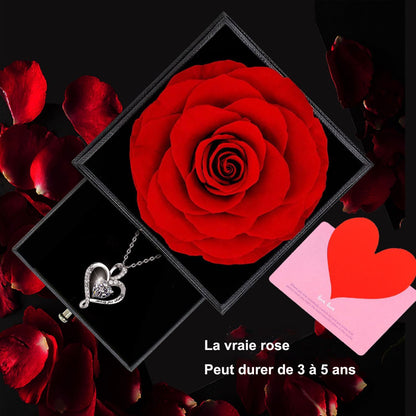 Willuck Rose Eternelle Rouge,Femme Boîte De Roses,Fleur Conservée,Rose Stabilisée,Cadeau Pour Elle La Anniversaire Saint Valentin Noël Fête Des Mères Cadeaux Pour Sa Femme Maman Grand-Mère Copine